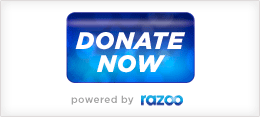 Razoo